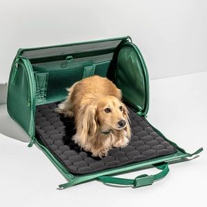 Wild One • Dog Carrier